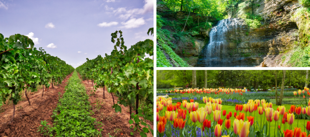 Embrace the Blooms: A Guide to Springtime in Southern Ontario